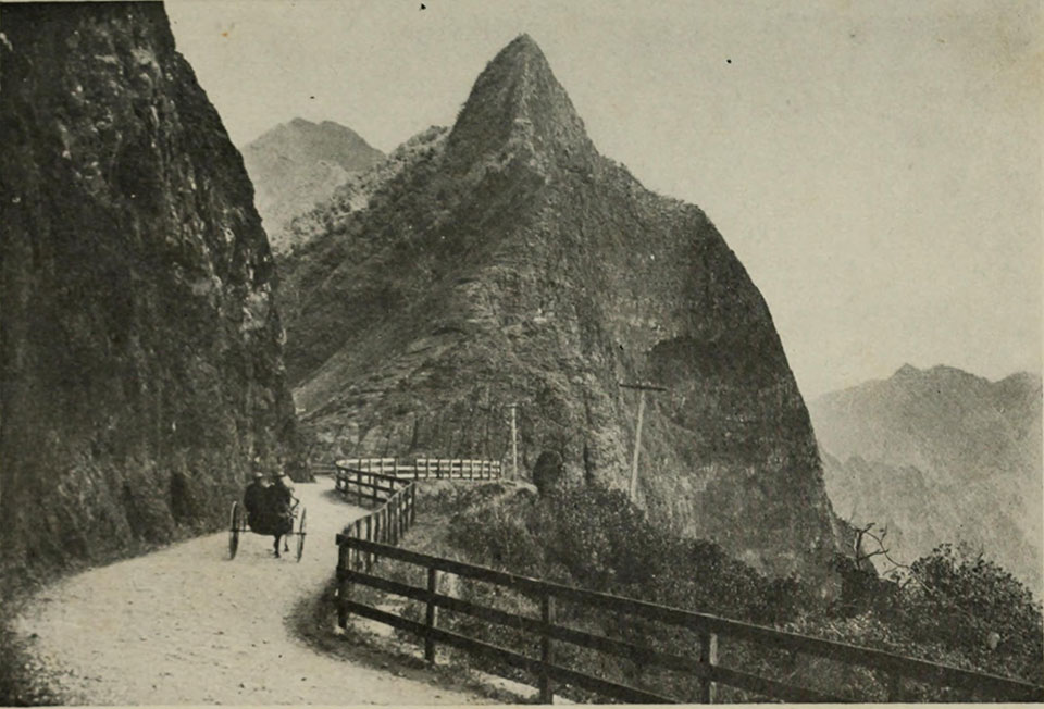 Image of a carriage going into the mountains in Hawaii, 1921.